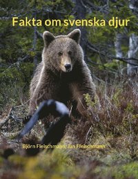 bokomslag Fakta om svenska djur