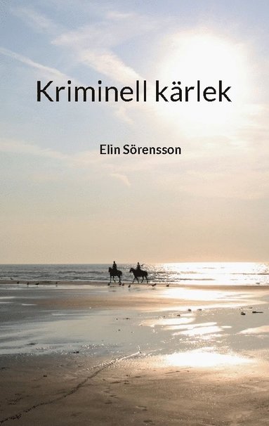 bokomslag Kriminell kärlek