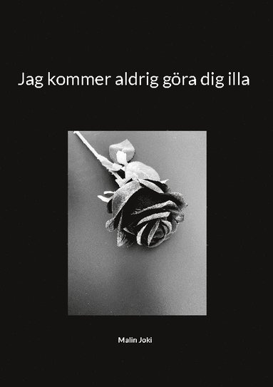 bokomslag Jag kommer aldrig göra dig illa