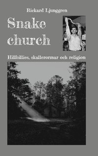 bokomslag Snake church : Hillbillies, skallerormar och religion