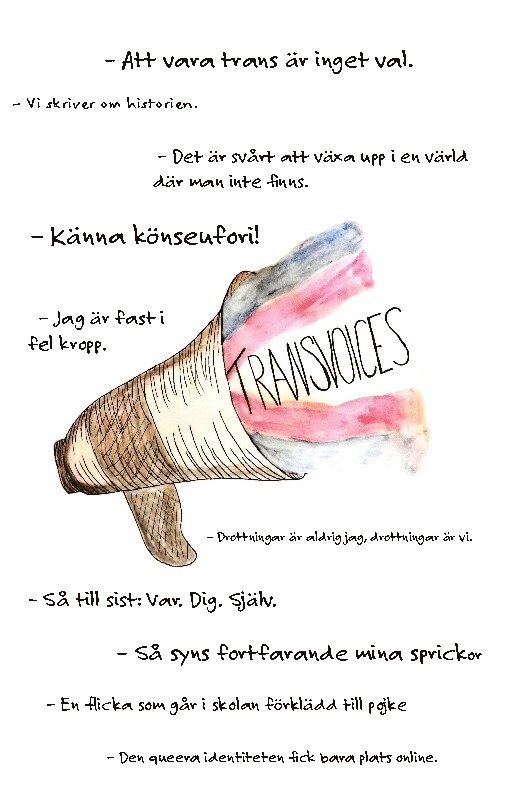 Jenny Momquist - Transvoices, Häftad