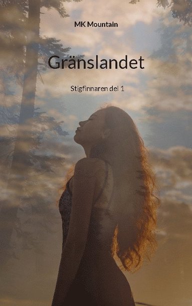 bokomslag Gränslandet