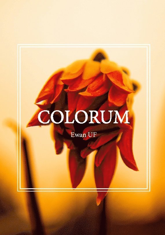 Nora Lindell, Ellen Öhrberg, Alice Silverstrand - Colorum : Ewan UF, Häftad