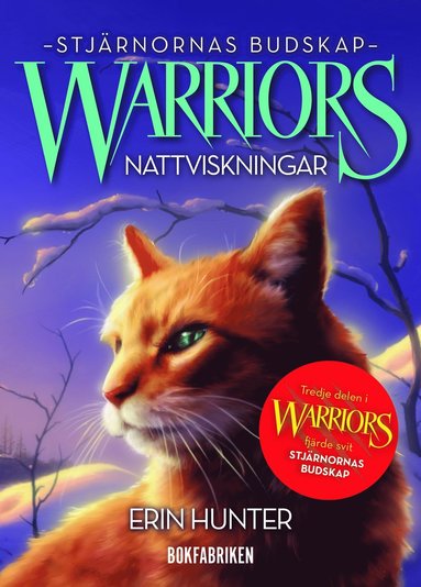 bokomslag Warriors 4. Nattviskningar