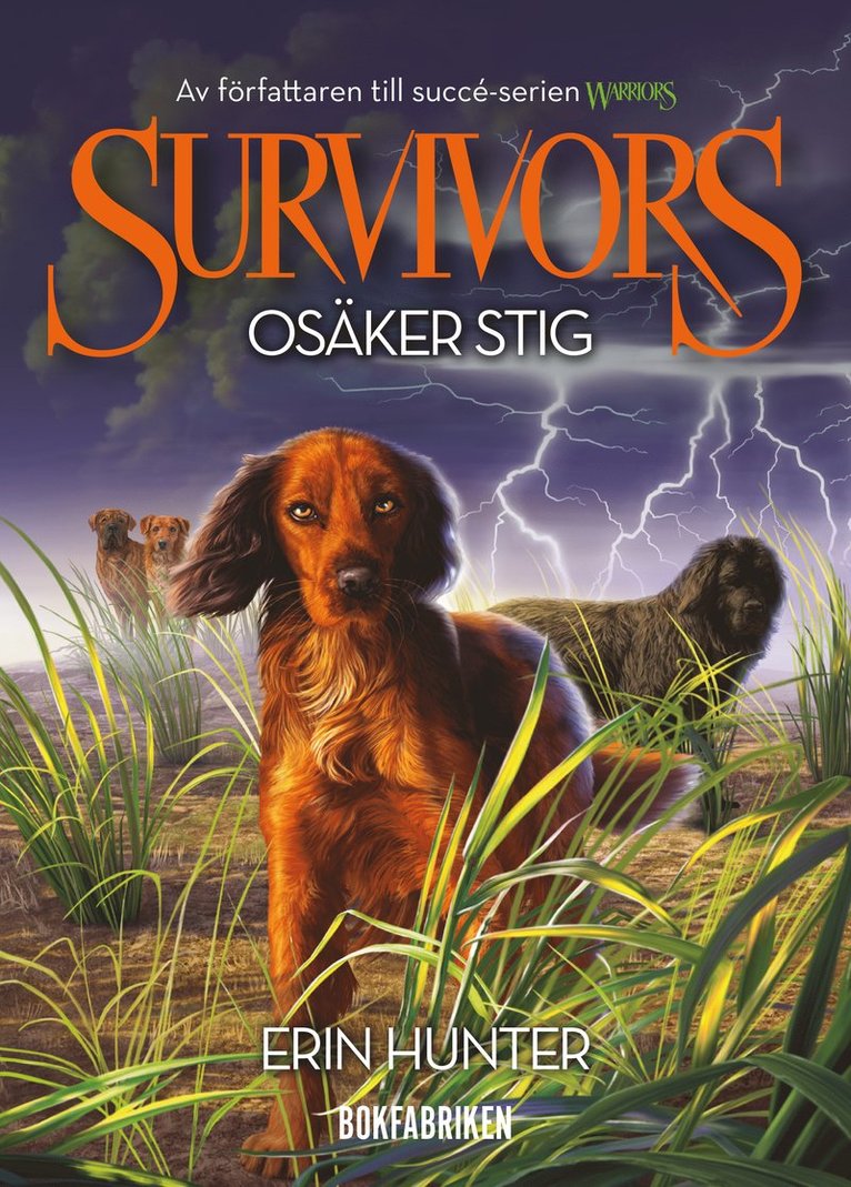 Survivors 1:4 Osäker stig 1