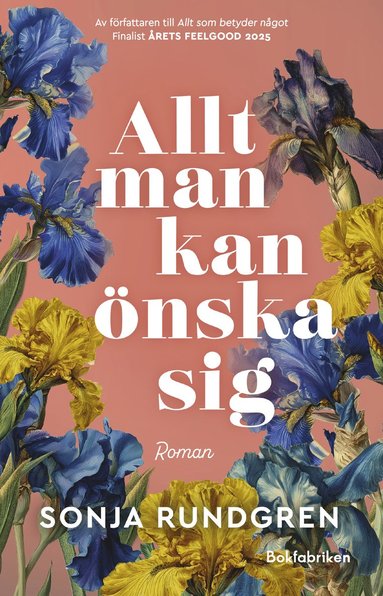 bokomslag Allt man kan önska sig