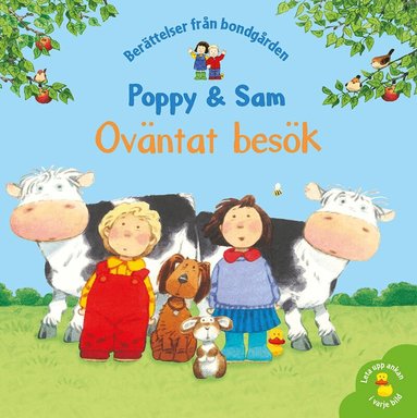 Heather Amery, Stephen Cartwright - Oväntat besök, Inbunden