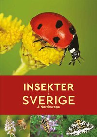 bokomslag Insekter i Sverige & Nordeuropa