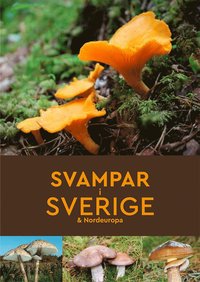 bokomslag Svampar i Sverige & Nordeuropa
