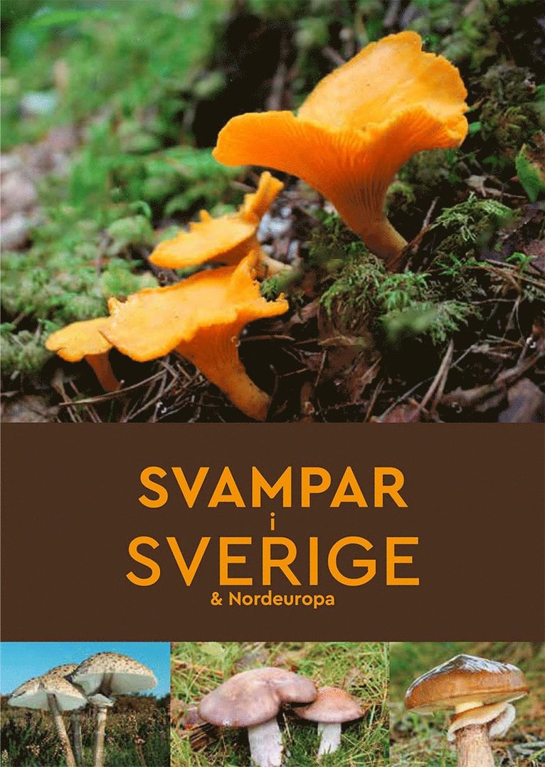 Svampar i Sverige & Nordeuropa 1