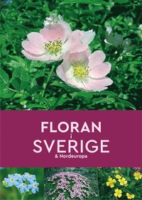 bokomslag Floran i Sverige & Nordeuropa
