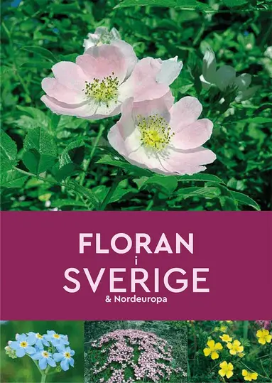 Andrew Cleave - Floran i Sverige & Nordeuropa, Häftad