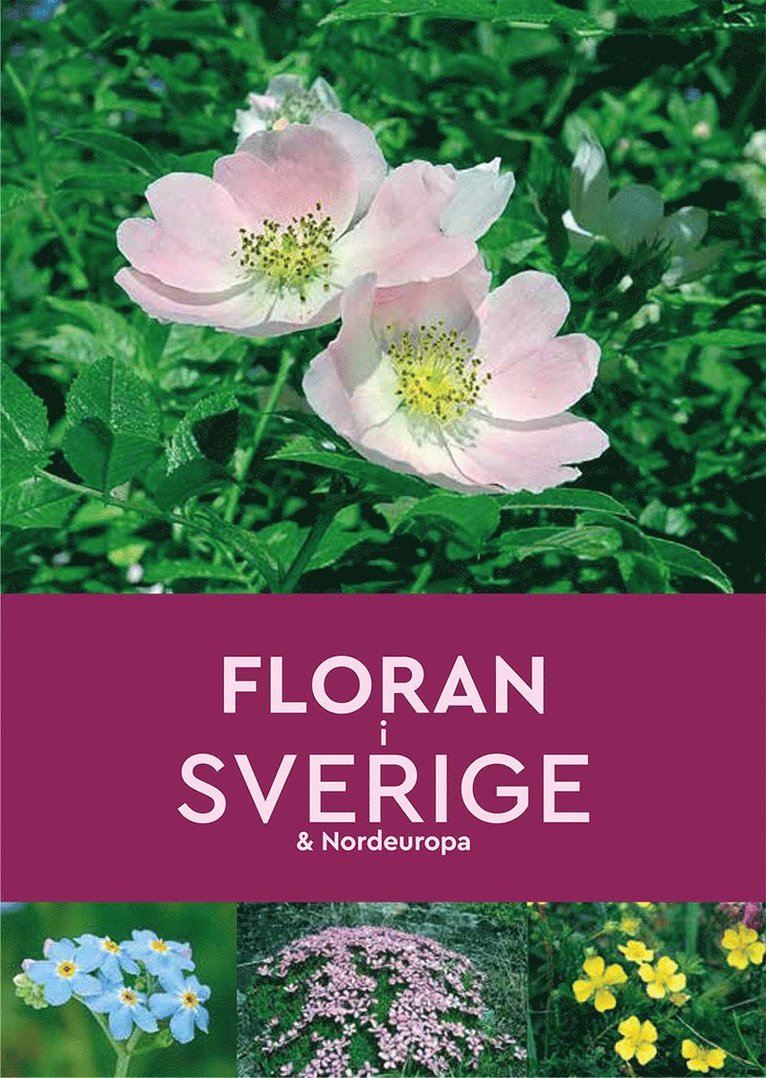 Floran i Sverige & Nordeuropa