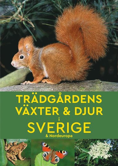bokomslag Trädgårdens växter & djur i Sverige & Nordeuropa