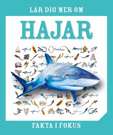 Lär dig mer om hajar, Inbunden