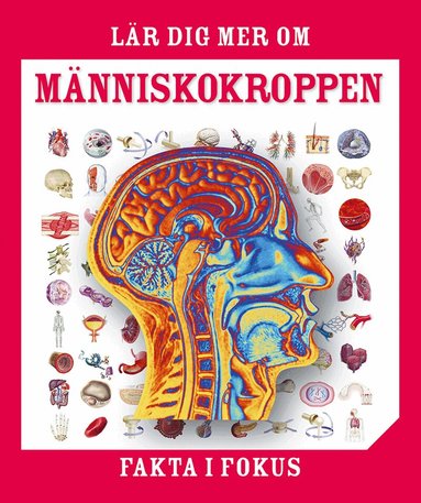 Lär dig mer om människokroppen, Inbunden