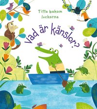 bokomslag Vad är känslor?