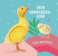 bokomslag Titta och känn. Söta bondgårdsdjur