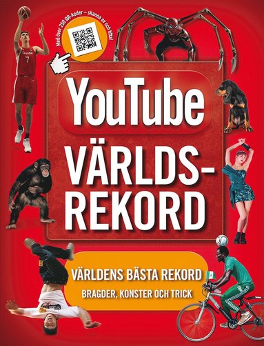 bokomslag Youtube världsrekord