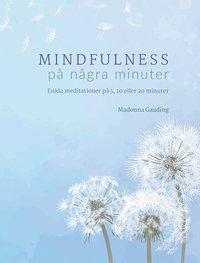bokomslag Mindfulness på några minuter