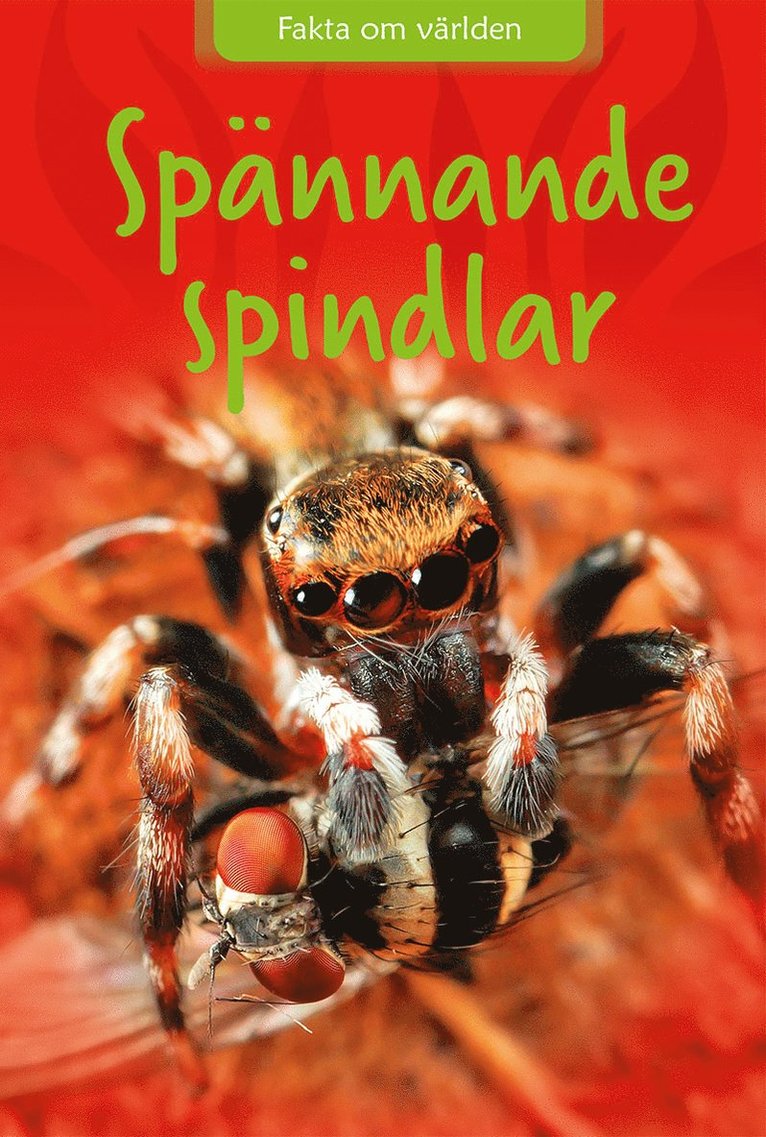 Spännande spindlar 1