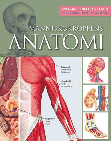 Ken Red Ashwell - Människokroppens anatomi, Inbunden