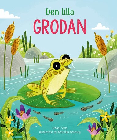 Lesley Sims - Den lilla grodan, Kartonnage