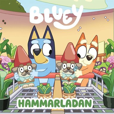 bokomslag Bluey. Hammarladan