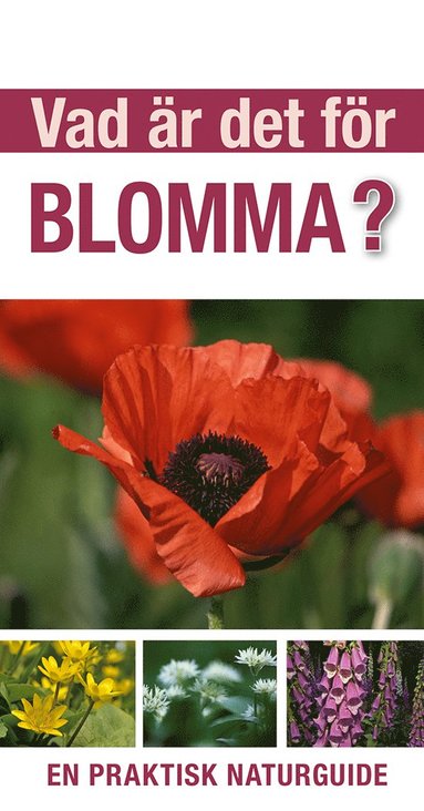 bokomslag Vad är det för blomma? : en praktisk naturguide