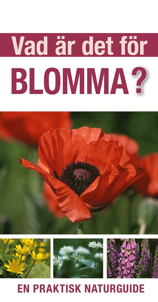 Vad är det för blomma? : en praktisk naturguide 1