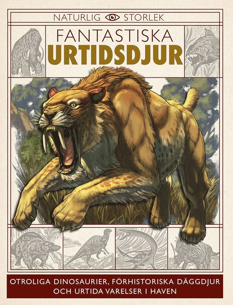 Dougal Dixon, Nancy Dickmann, Dr Dean Lomax - Fantastiska urtidsdjur, Inbunden