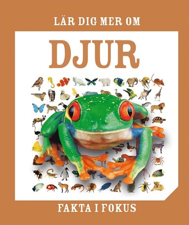 bokomslag Lär dig mer om djur