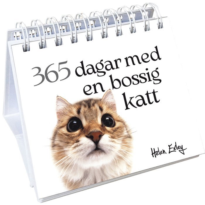 Pam Brown - 365 dagar med en bossig katt, Häftad