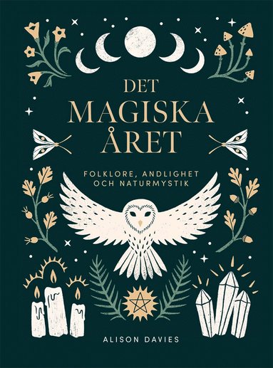 bokomslag Det magiska året : folklore, andlighet och naturmystik