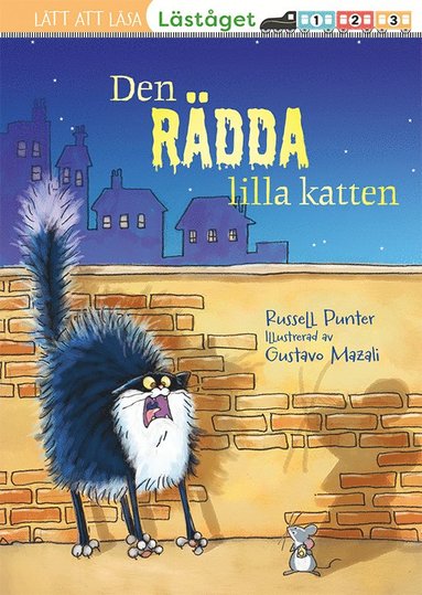 bokomslag Den rädda lilla katten (läsnivå 3)