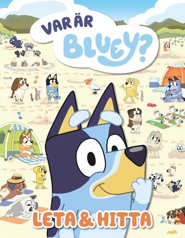 bokomslag Var är Bluey? Leta & hitta