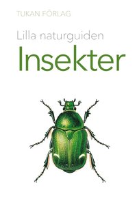 bokomslag Lilla naturguiden : Insekter