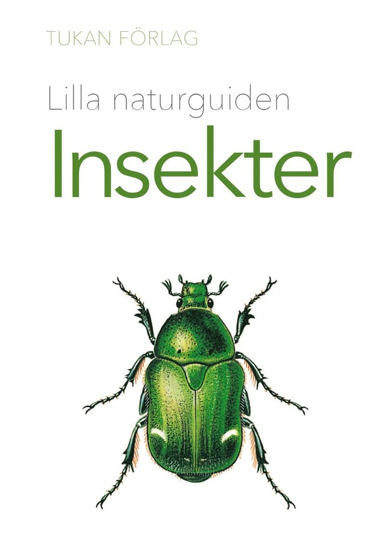 Lilla naturguiden : Insekter 1