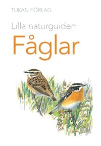 bokomslag Lilla naturguiden: Fåglar