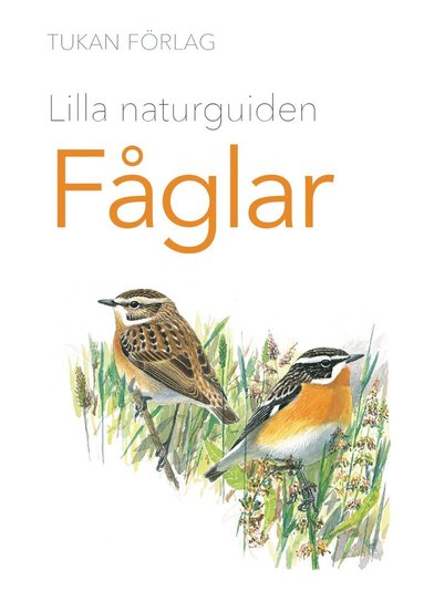 bokomslag Lilla naturguiden : Fåglar