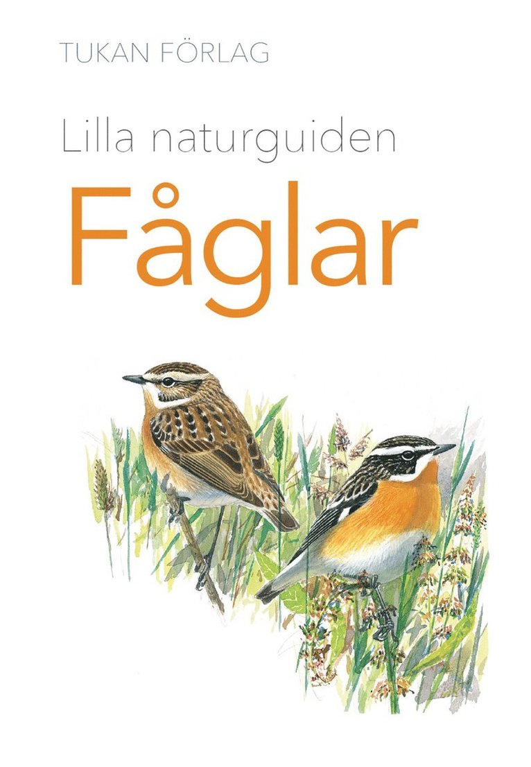 Lilla naturguiden : Fåglar, Häftad