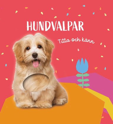 bokomslag Titta och känn. Hundvalpar