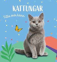bokomslag Titta och känn: Kattungar