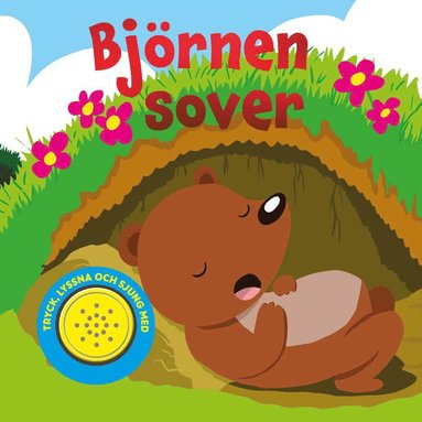 bokomslag Björnen sover