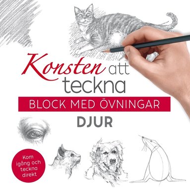Konsten att teckna : block med övningar - djur, Häftad