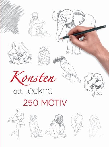 Konsten att teckna : 250 motiv, Häftad