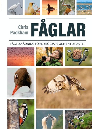 Chris Packham - Fåglar : fågelskådning för nybörjare och entusiaster, Inbunden