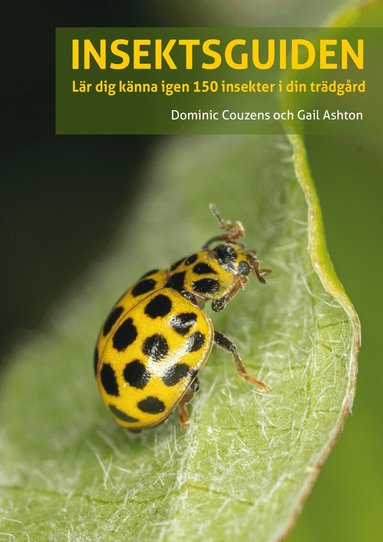 Gail Ashton, Dominic Couzens - Insektsguiden : Lär dig känna igen 150 insekter i din trädgård, Häftad