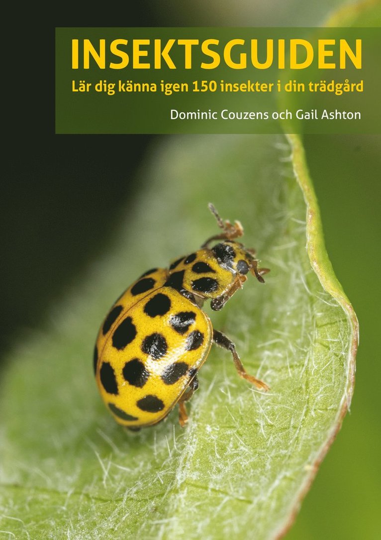 Gail Ashton, Dominic Couzens - Insektsguiden : Lär dig känna igen 150 insekter i din trädgård, Häftad