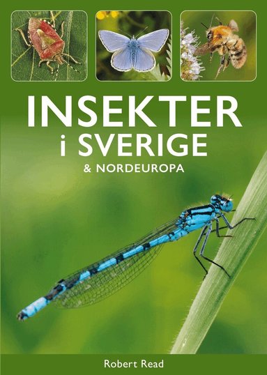 Robert Read - Insekter i Sverige och Nordeuropa, Häftad